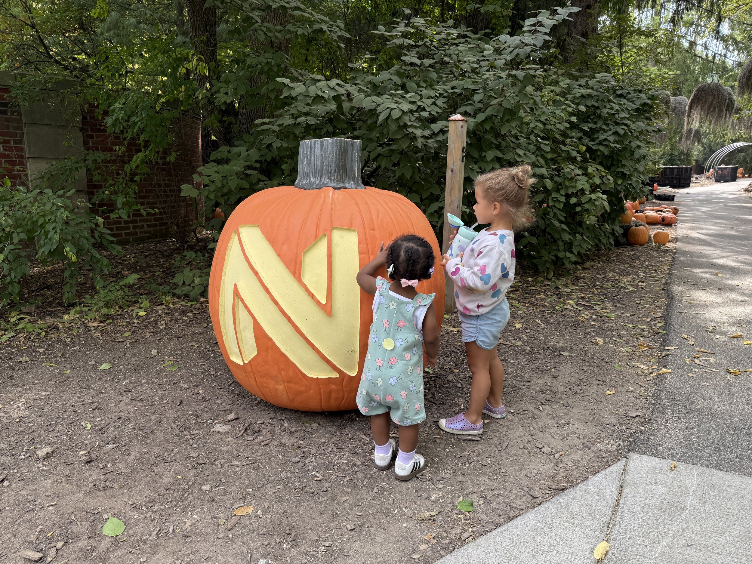 Adventures with Lucy