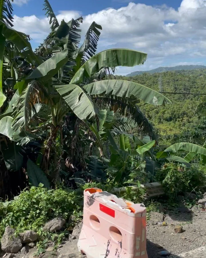 This time last year! 💕🥹🇵🇭 Probinsiya life, engkanto stories, aswang ninangs, haunting trees, horseshoe crab tails, crocodiles that live under bahay kubos, and tears of many kinds. I&rsquo;m still too cautious, too scared to share all the things I