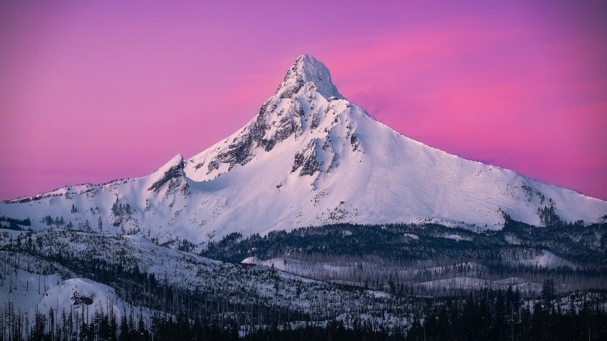 Morning Splendor.jpg