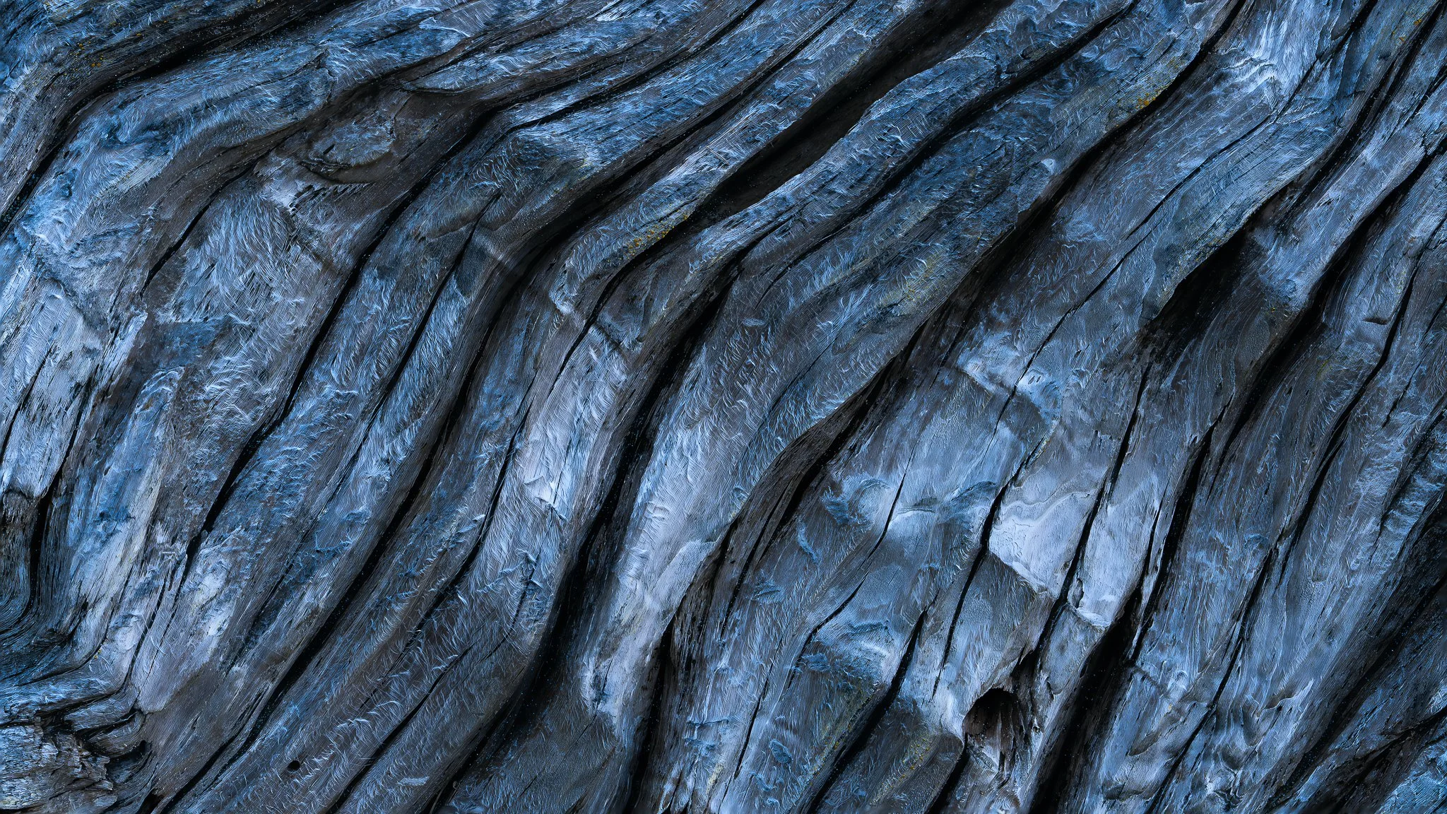 _DSC7708-Edit-Edit.jpg