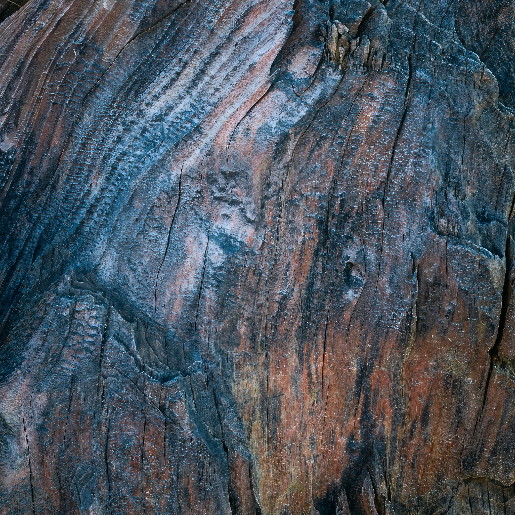 _DSC7690-Edit-Edit-Edit.jpg