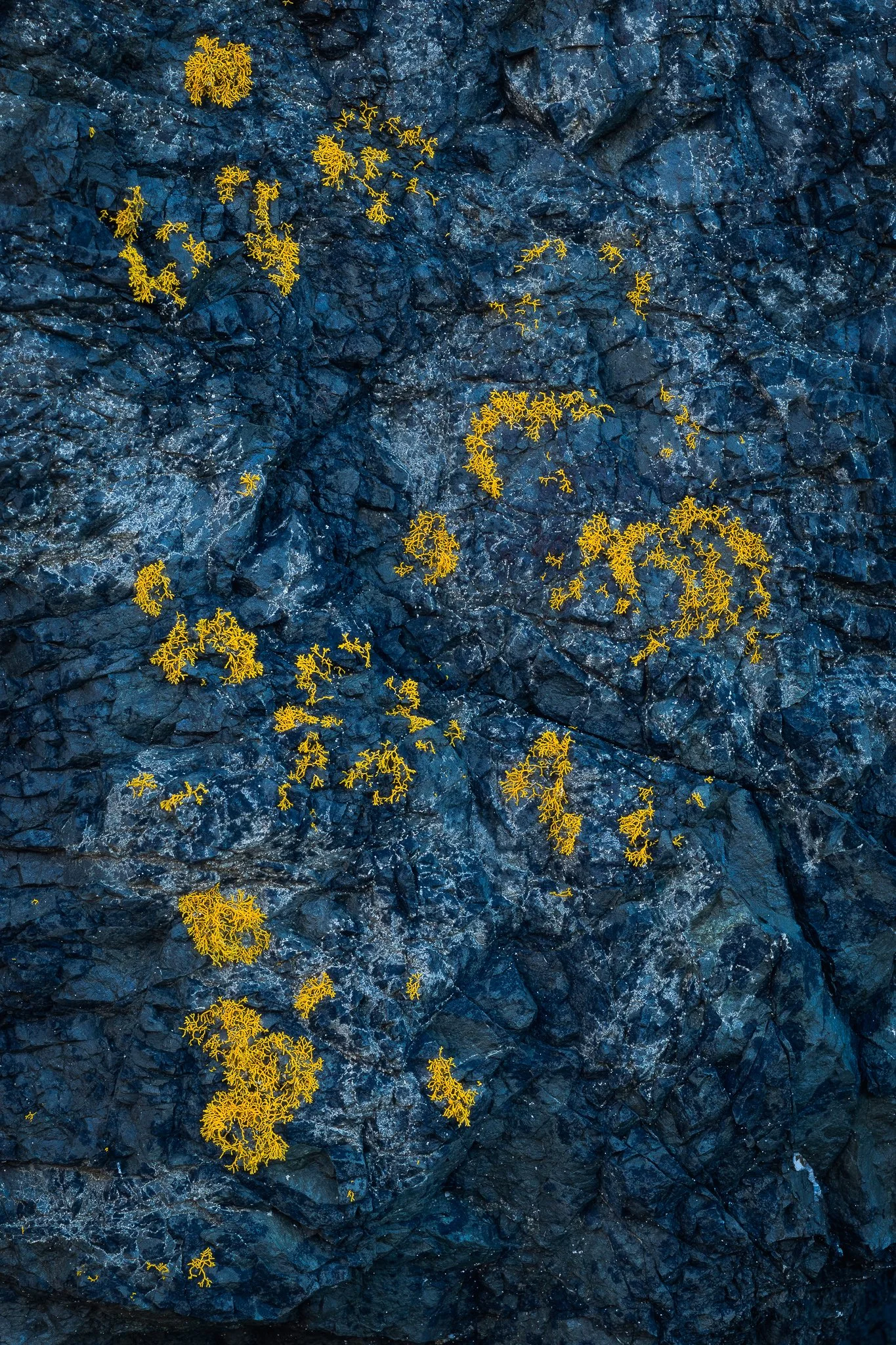 _DSC7636-Edit.jpg