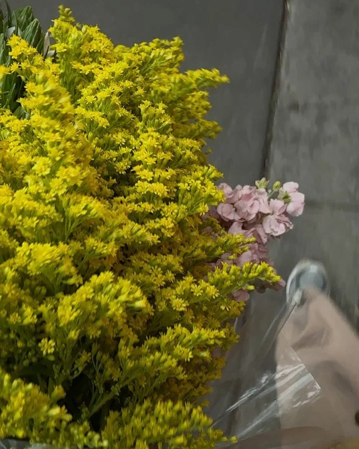 this was the day after valentine&rsquo;s day 💌🥰 i was in my favorite place, in my favorite city, enjoying two of my favorite things&mdash;spending time with friends looking for the perfect flowers ✨

for me, the growth i&rsquo;ve experienced the pa