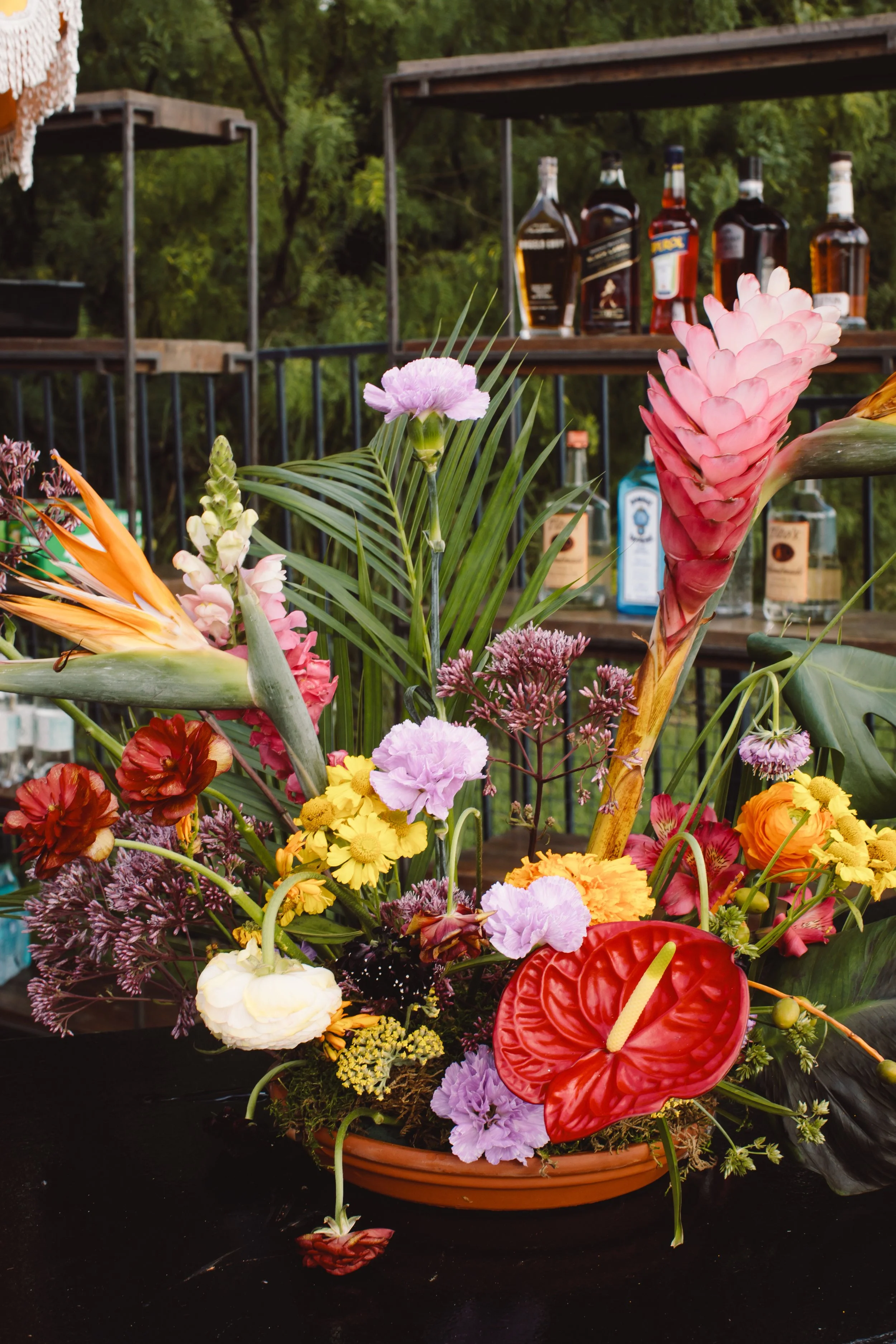 Jade and Kyle Photography