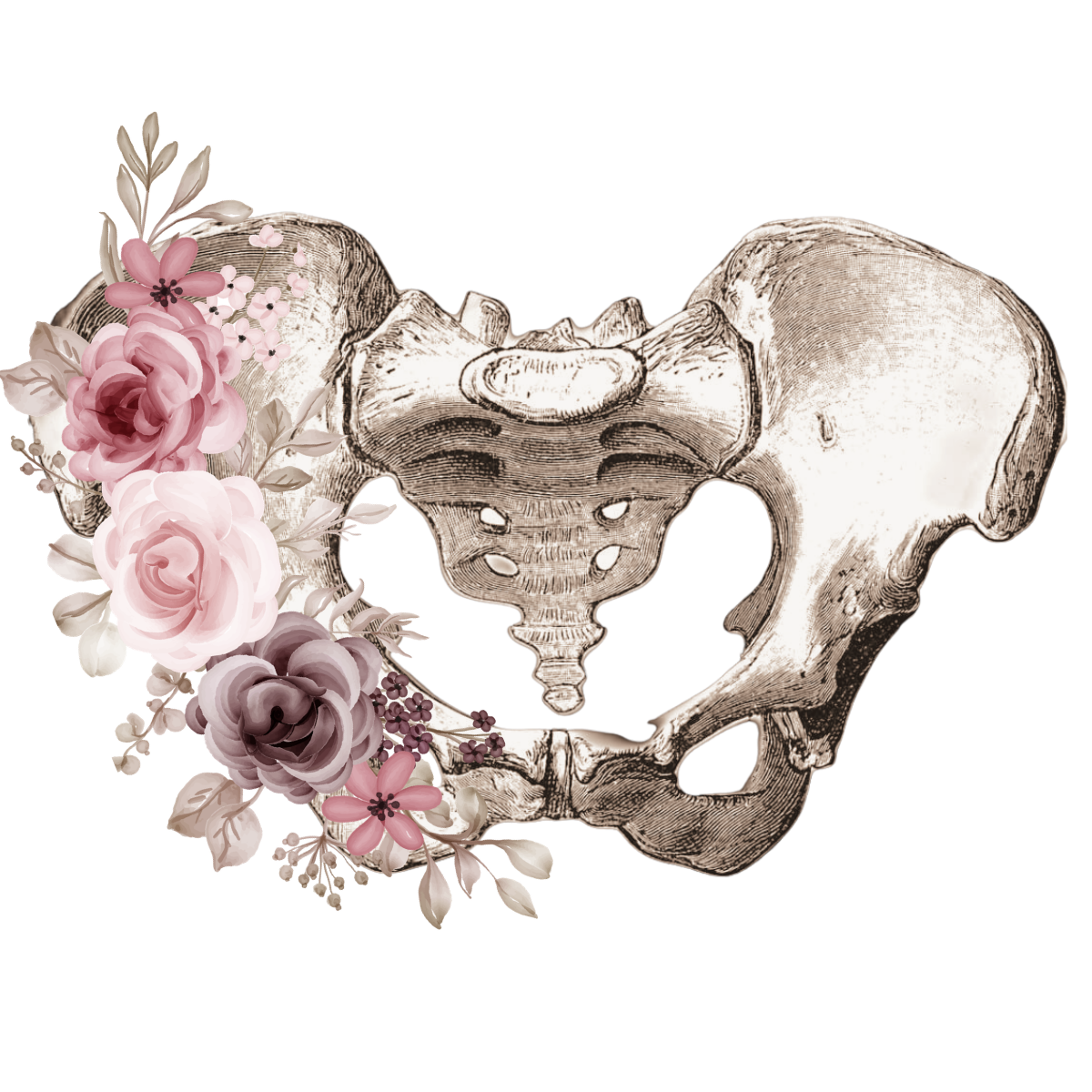 Tamara Doering Female pelvis and florals to represent integrative pelvic health, womb belly and pelvis care and therapy in SJDS Nicaragua and Calgary AB Canada