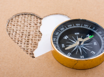 The Importance of Exploration