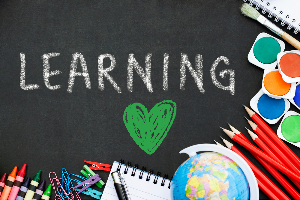 The Importance of Learning