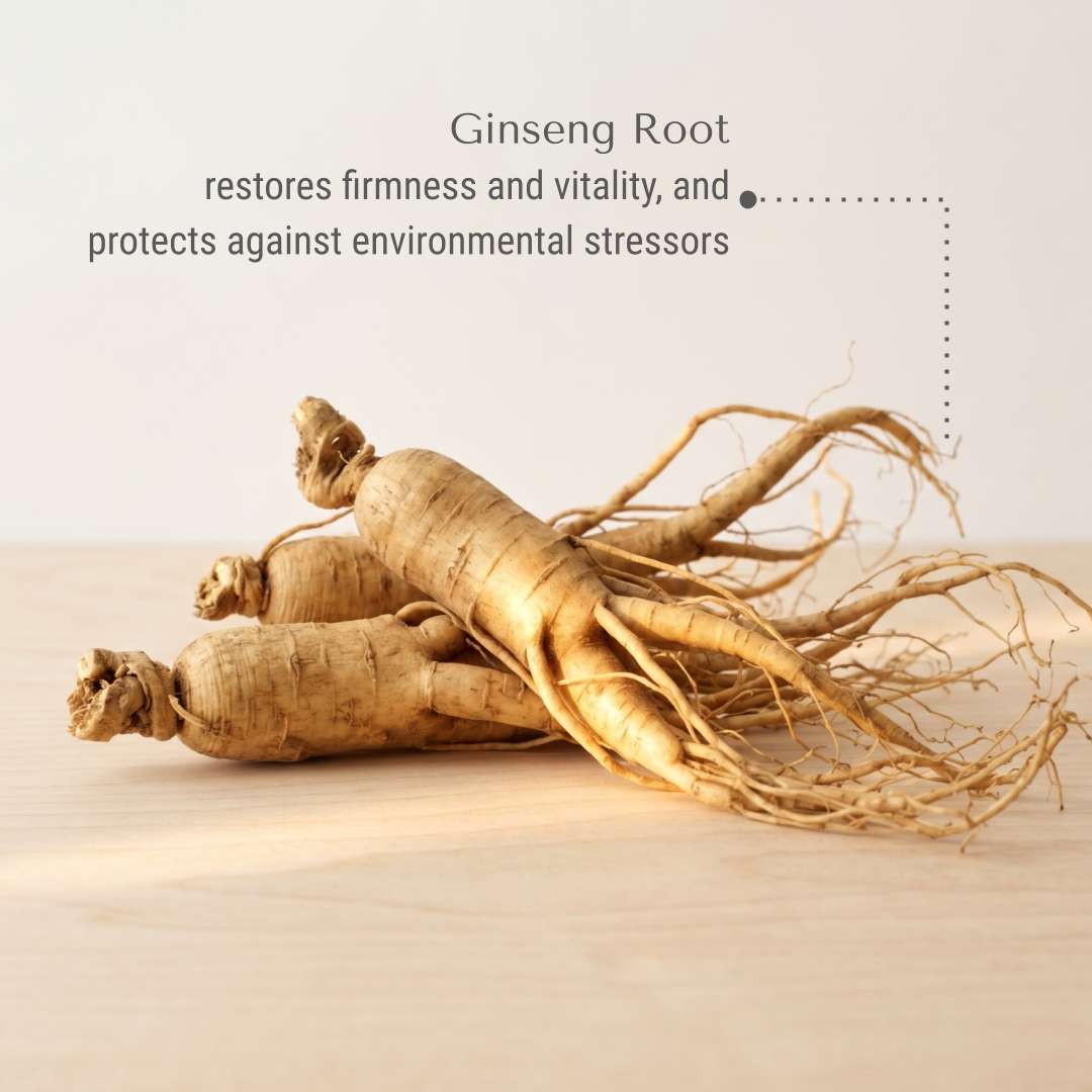 KI-bayabas-ginseng.png