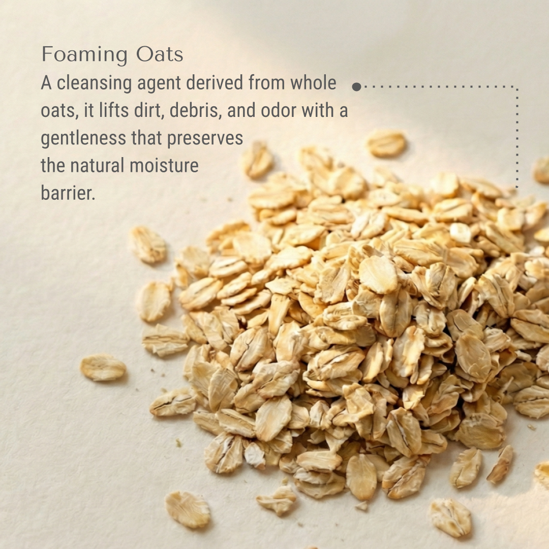 KI-bernie-foaming-oats.png