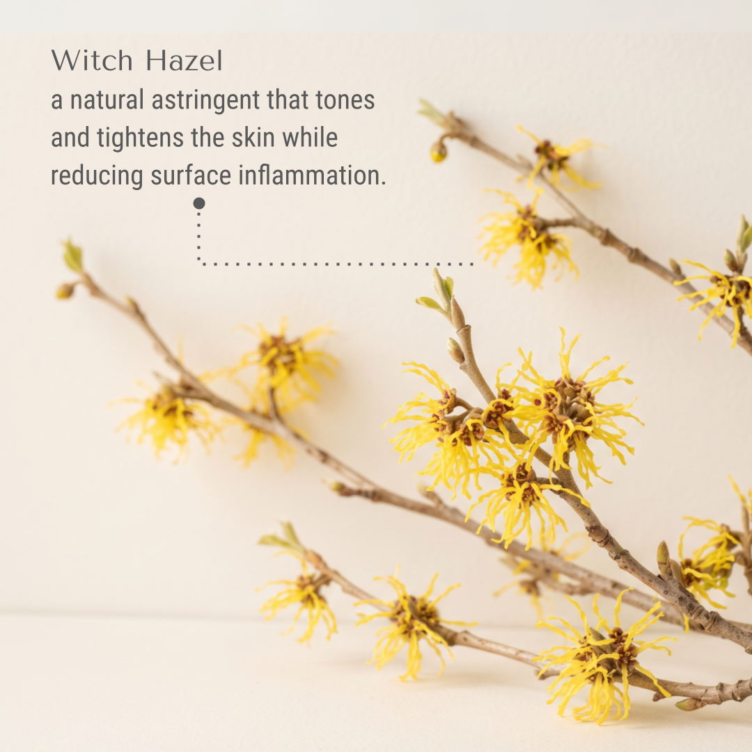 KI-buggin-witch-hazel.png