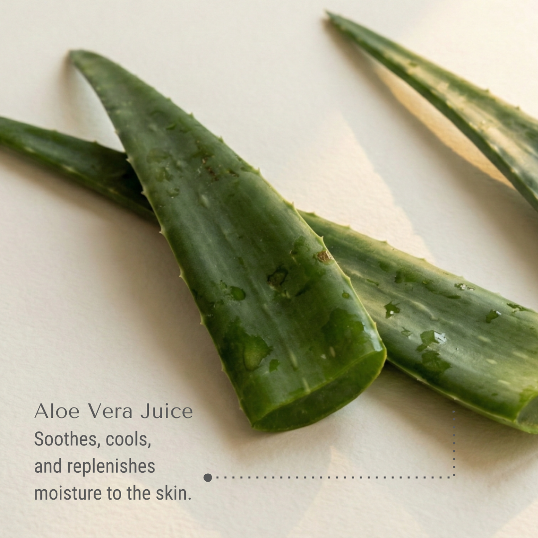 KI-bernie-aloe.png