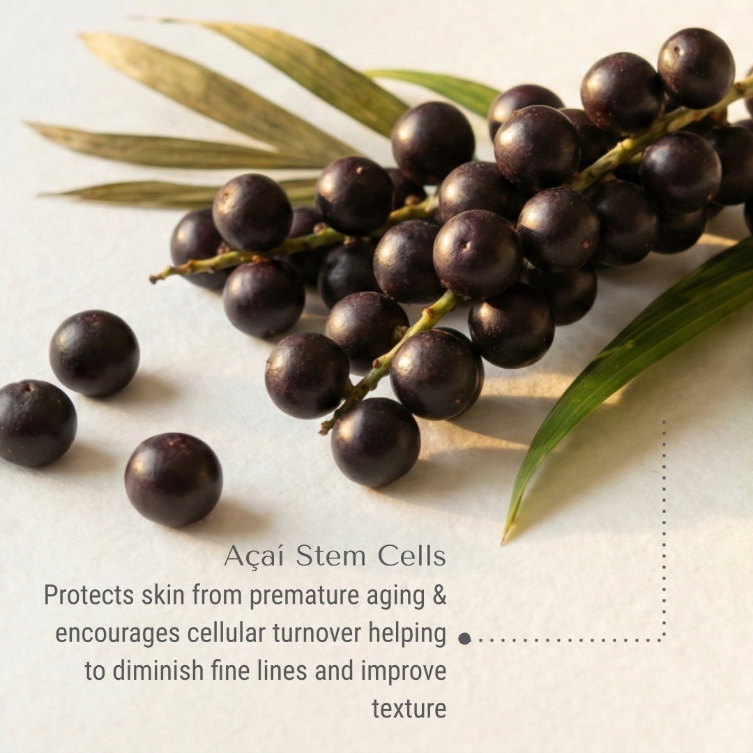 KI-bayabas-acai.png