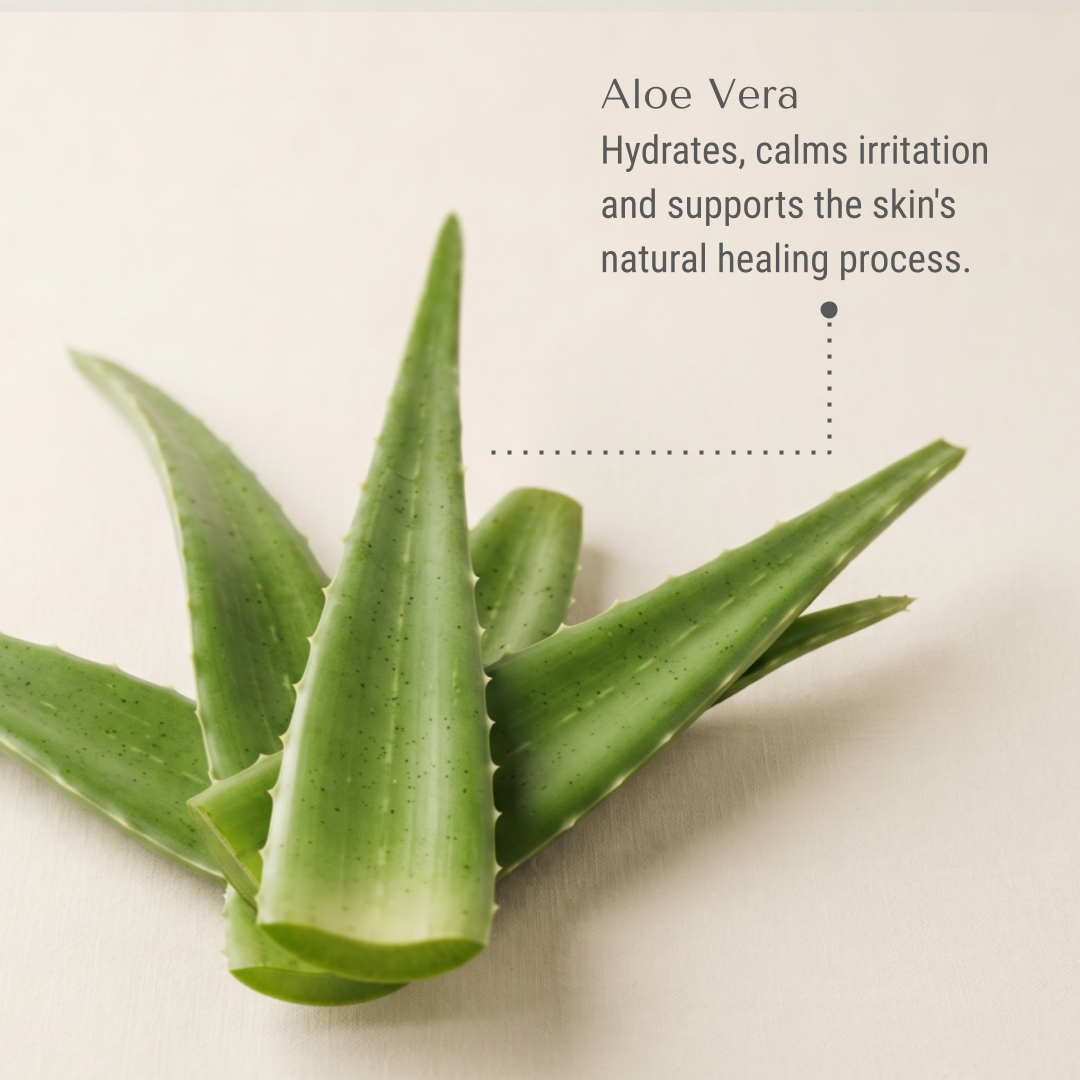 KI-island-lotion-aloe.png
