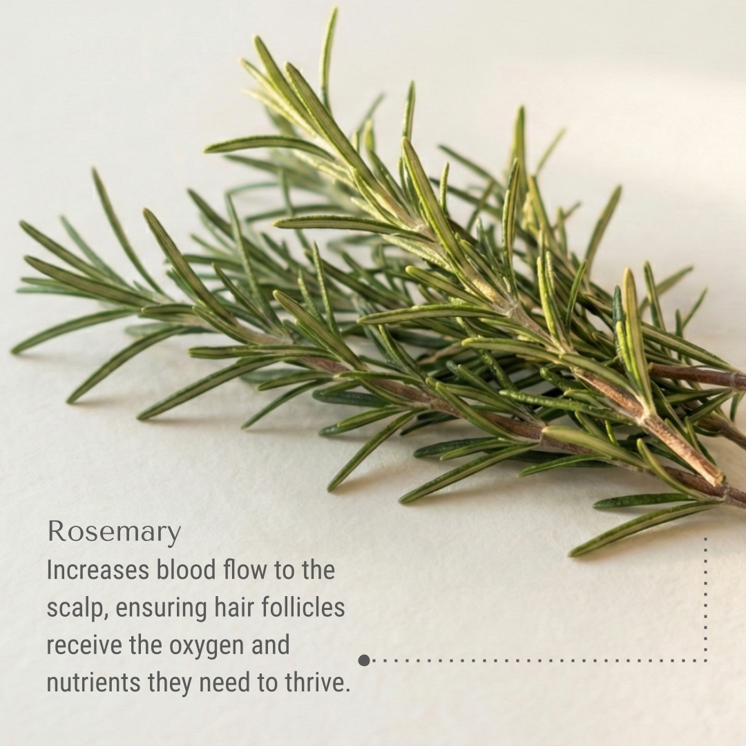 KI-hair-oil-rosemary.png