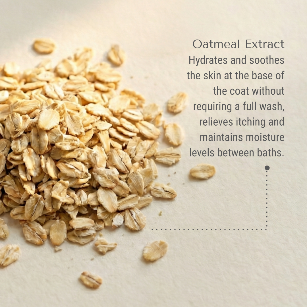 KI-harry-oats.png