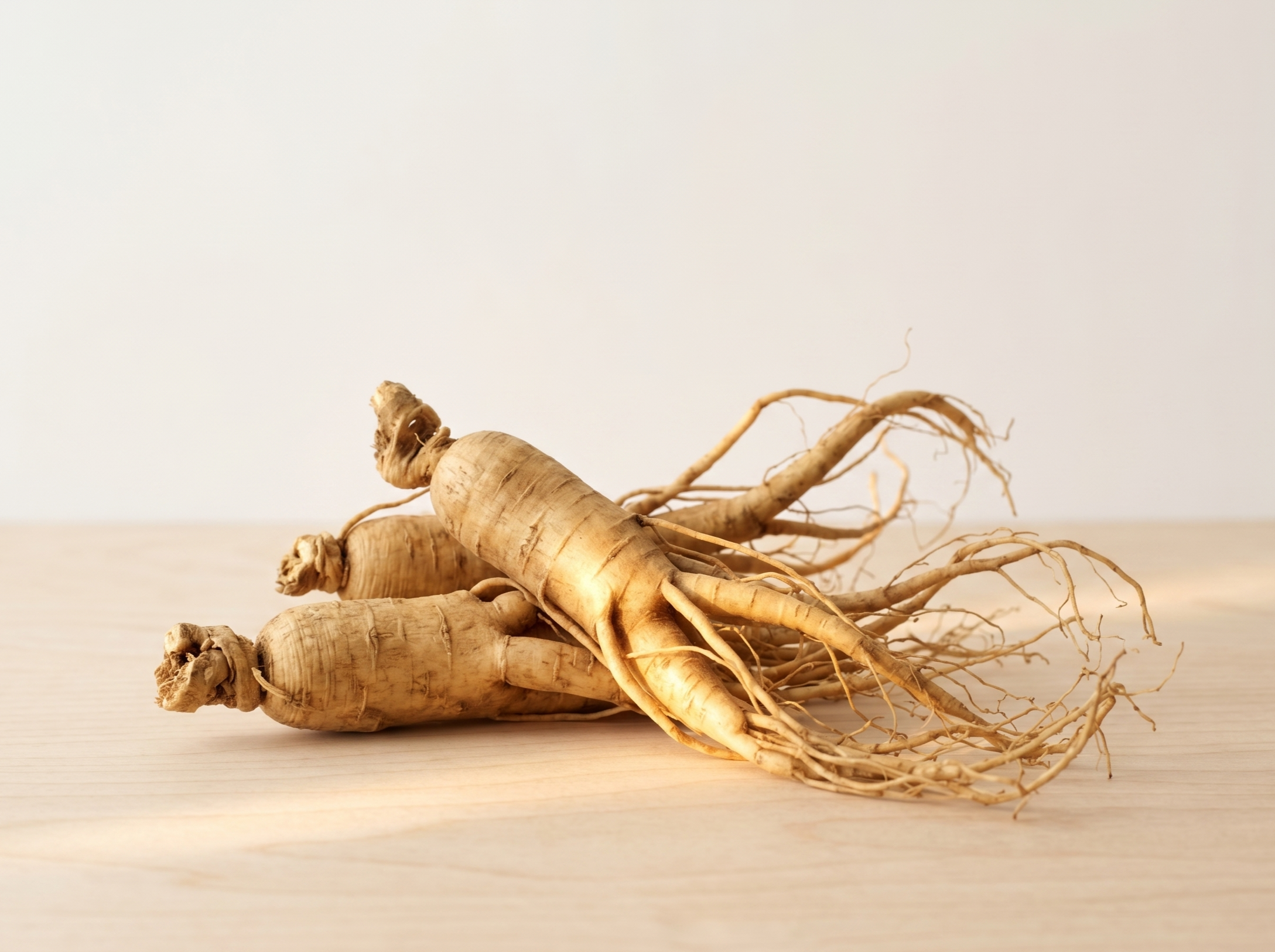 ginseng-root.png