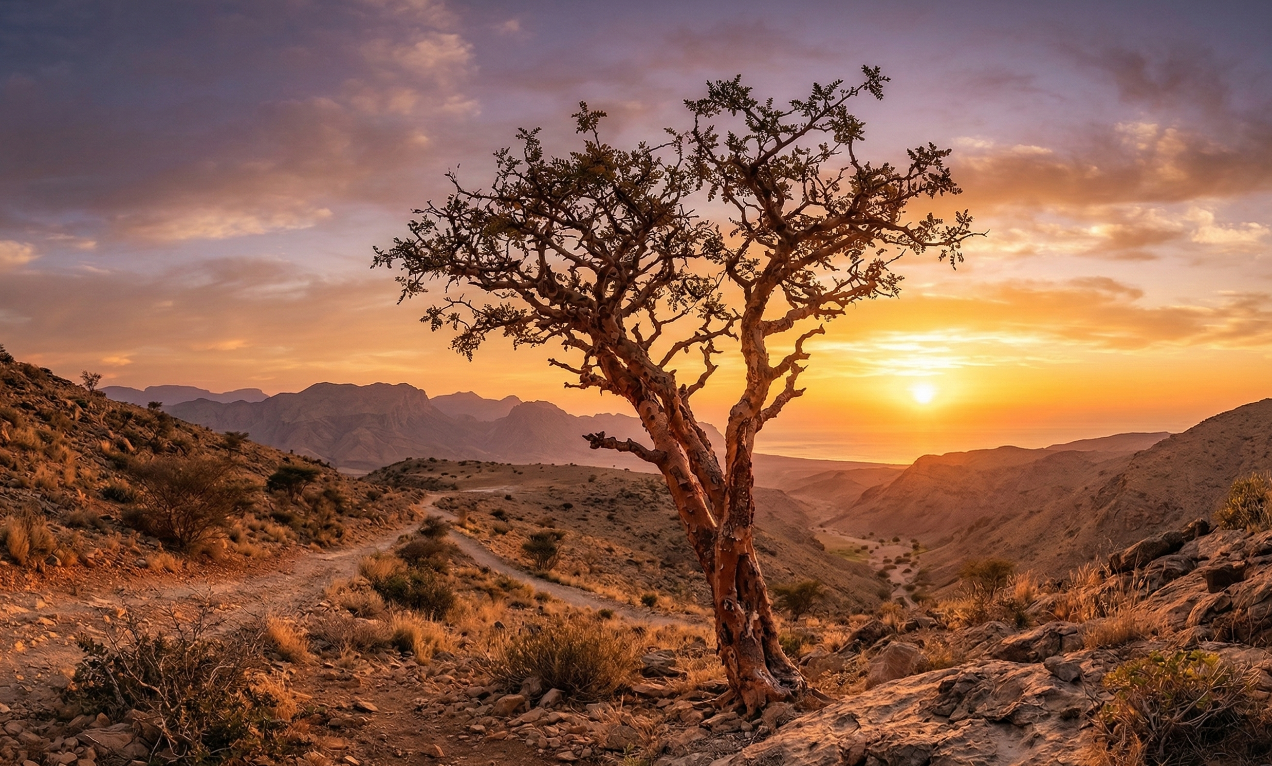 Sacred Frankincense vs. Retinol: A Comparative Guide to Natural Age-Defiance