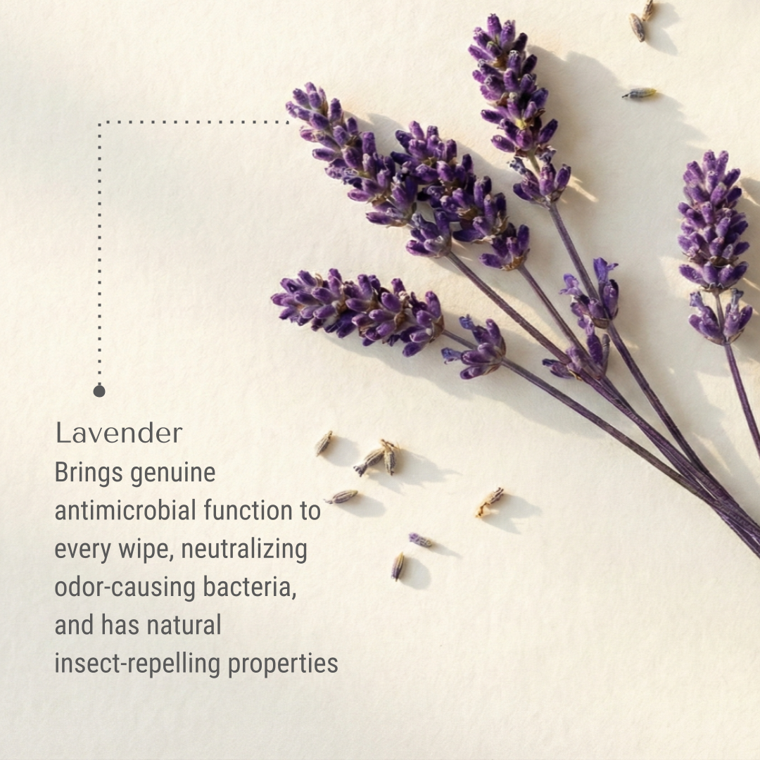 KI-bernie-lavender.png