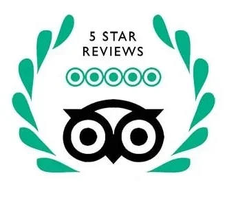 trip-advisor-tripadvisor-5-star-reviews.webp
