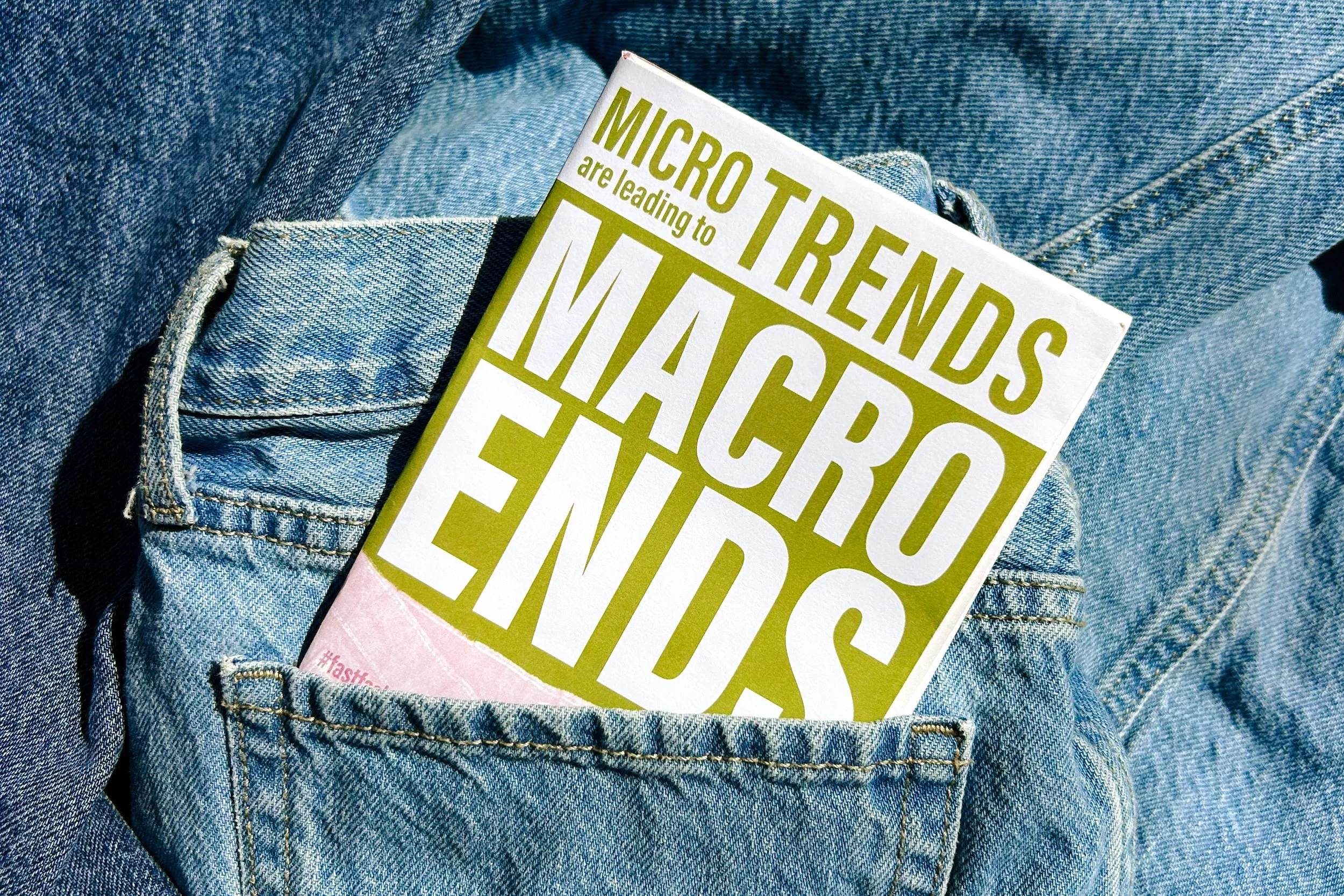 Micro Trend Zine System and Branding 2024