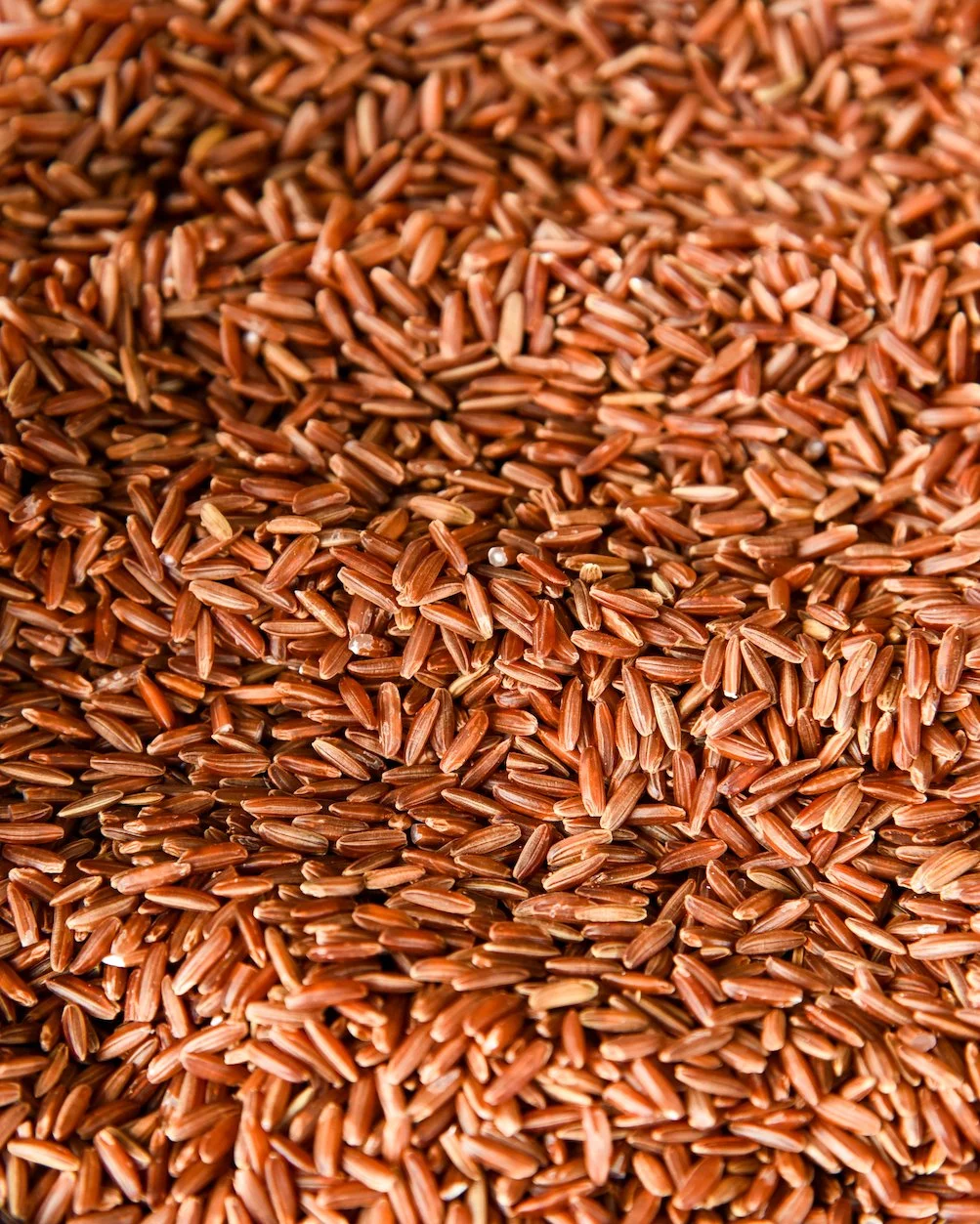 13_redrice2 2.jpg