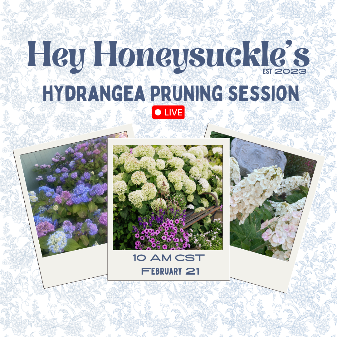 Hey Honeysuckle’s (1).png