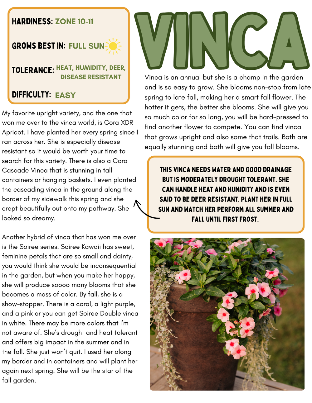 Hey Beginner! Fall Garden Guide — Hey Honeysuckle