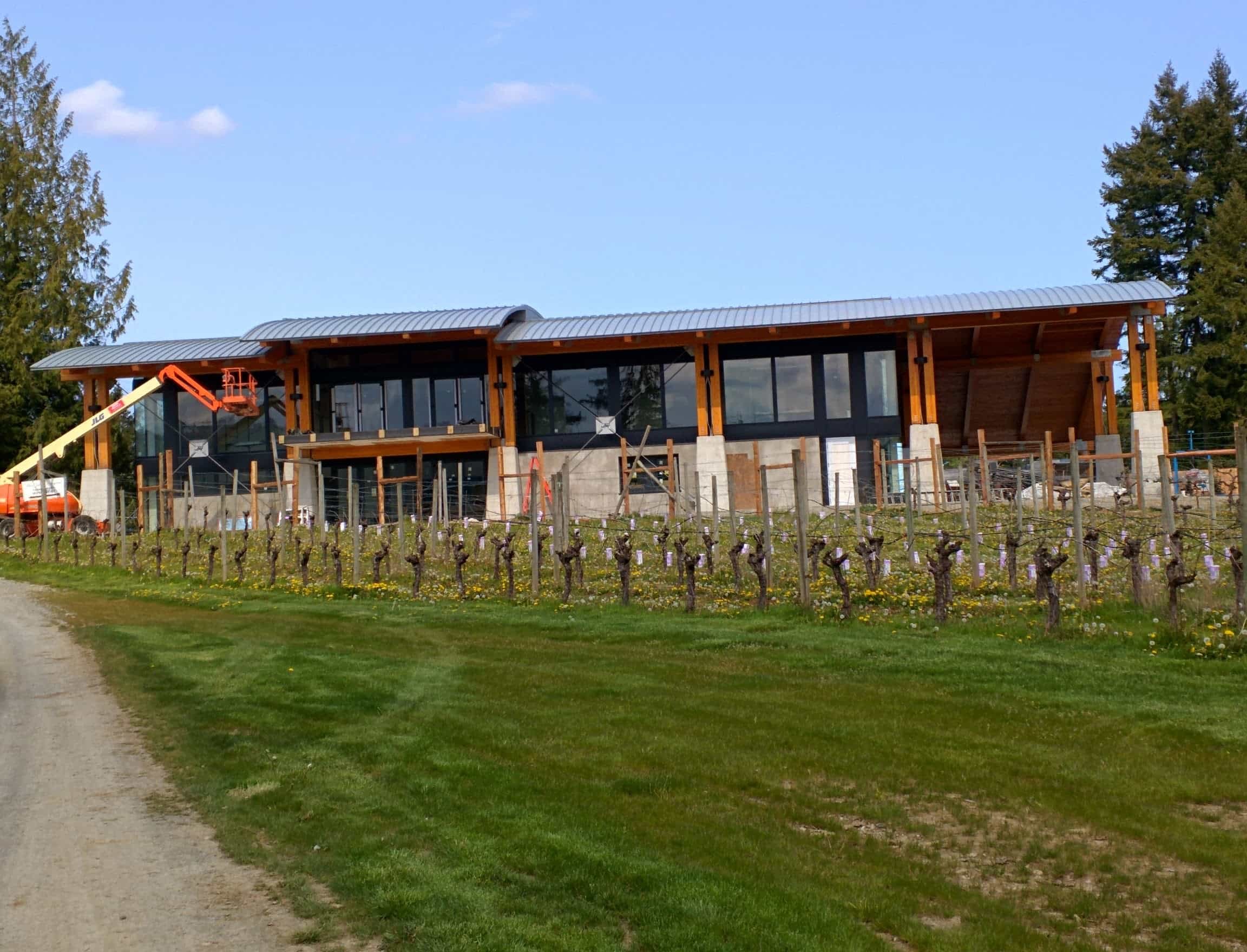 Why pick a metal roof over an asphalt shingle roof?