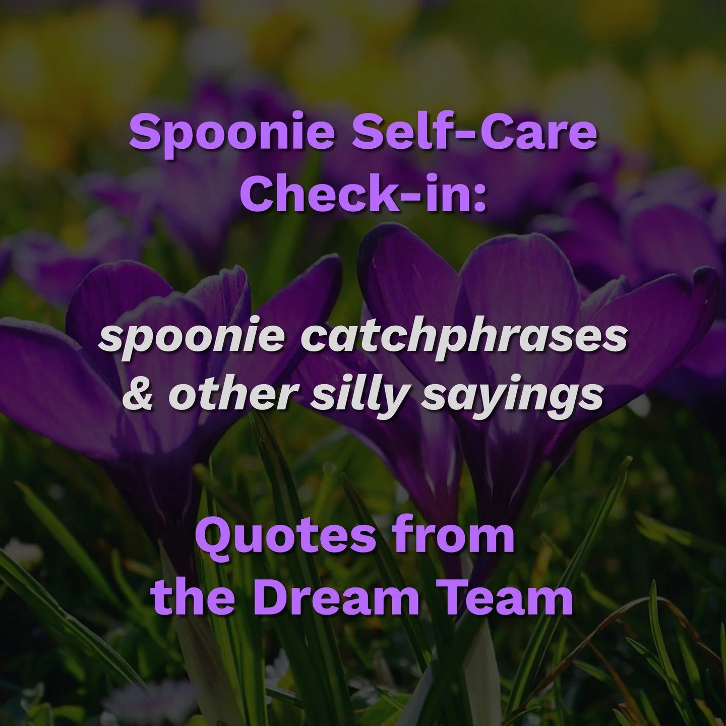 November's Spoonie Sayings from the Dream Team!

#SpoonlessPT #SpoonieSupport #SpoonieCommunity