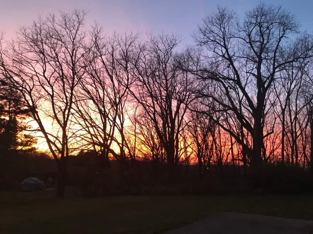 Conservancy Days Series: Photographic Tour of Pheasant Branch