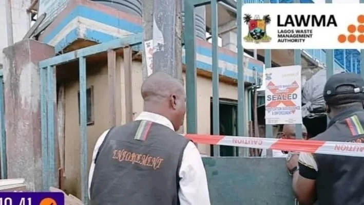 Lawma-Seals-market