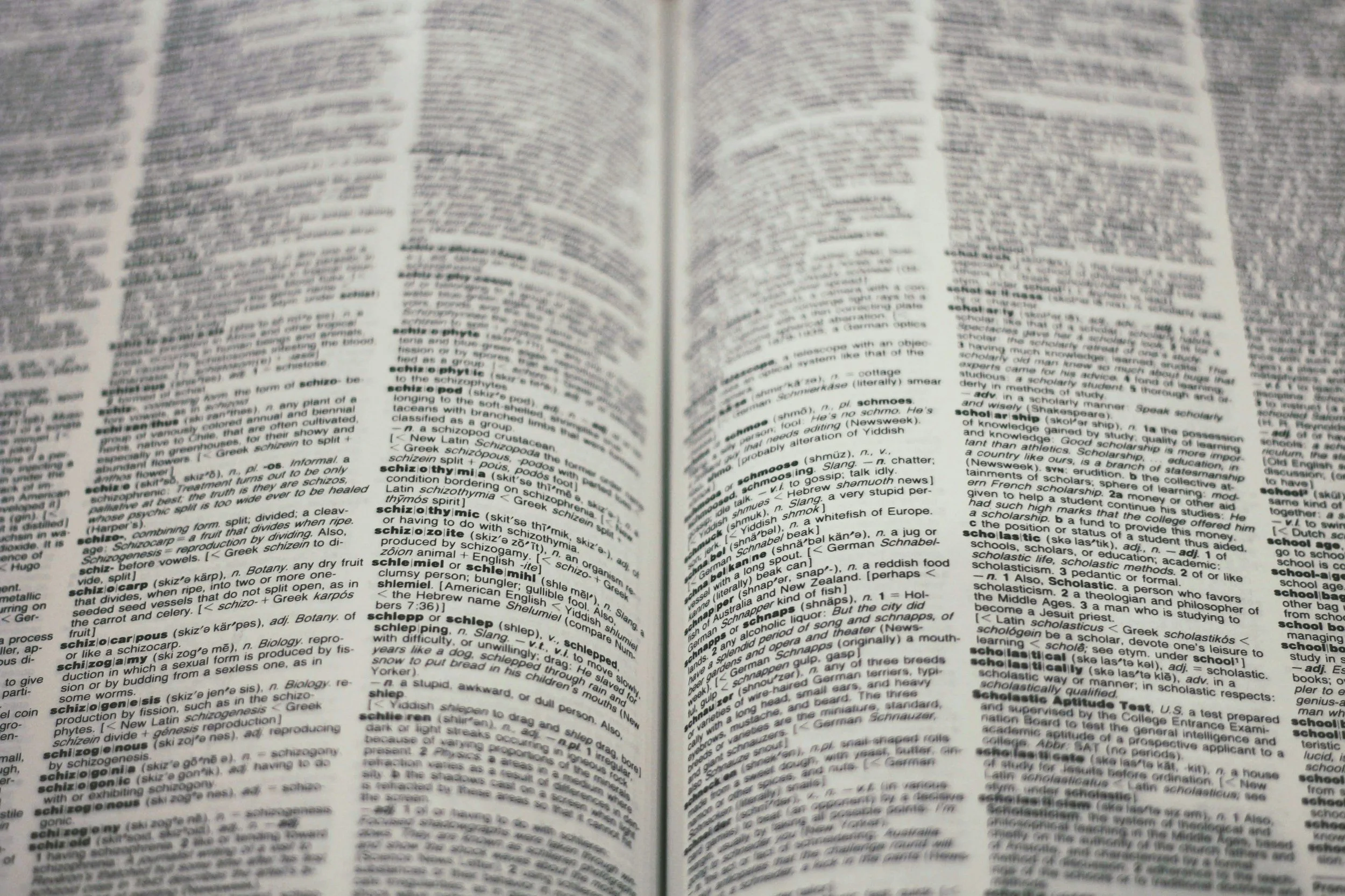 An open dictionary
