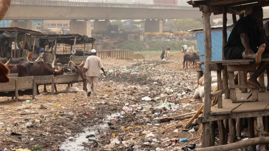 Ogun State: Kara Cattle Market Persists 17 Months After Official Relocation Order