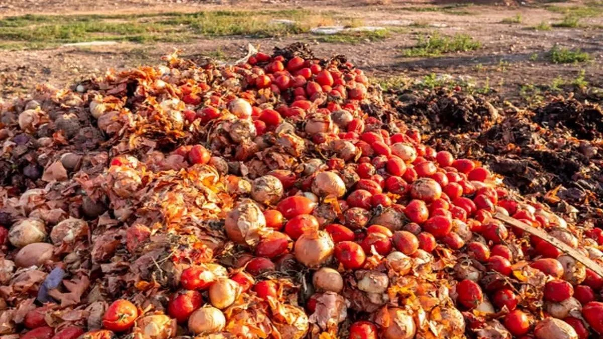 Nigeria Suffers up to ₦5 Trillion in Post-Harvest Losses in 2025 – OTACCWA