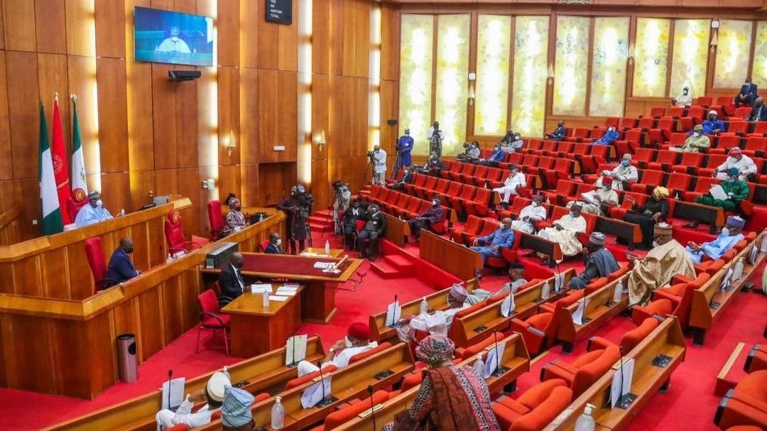 Senate Approves ₦1.75 Trillion 2025 Budget for Niger Delta Development Commission