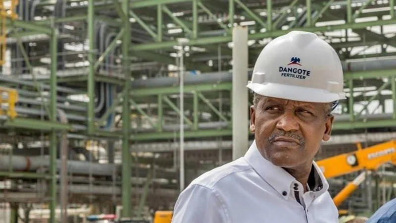 Dangote: Falling Crude Prices Unlikely to Lower Petrol Costs in Nigeria
