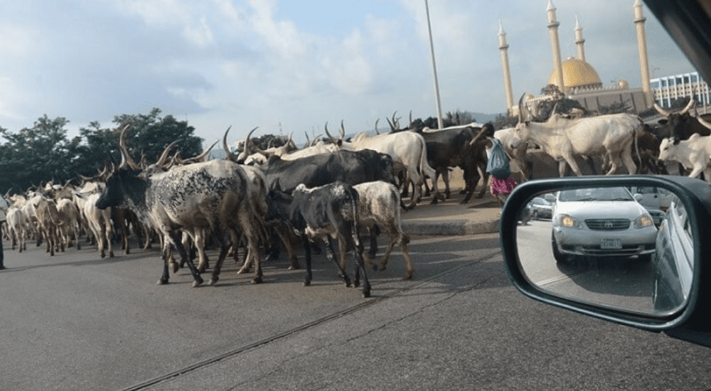 FCT Communities Allege Land Grabbing, Unpaid Compensation 10 Years After Grazing Reserve Allocation