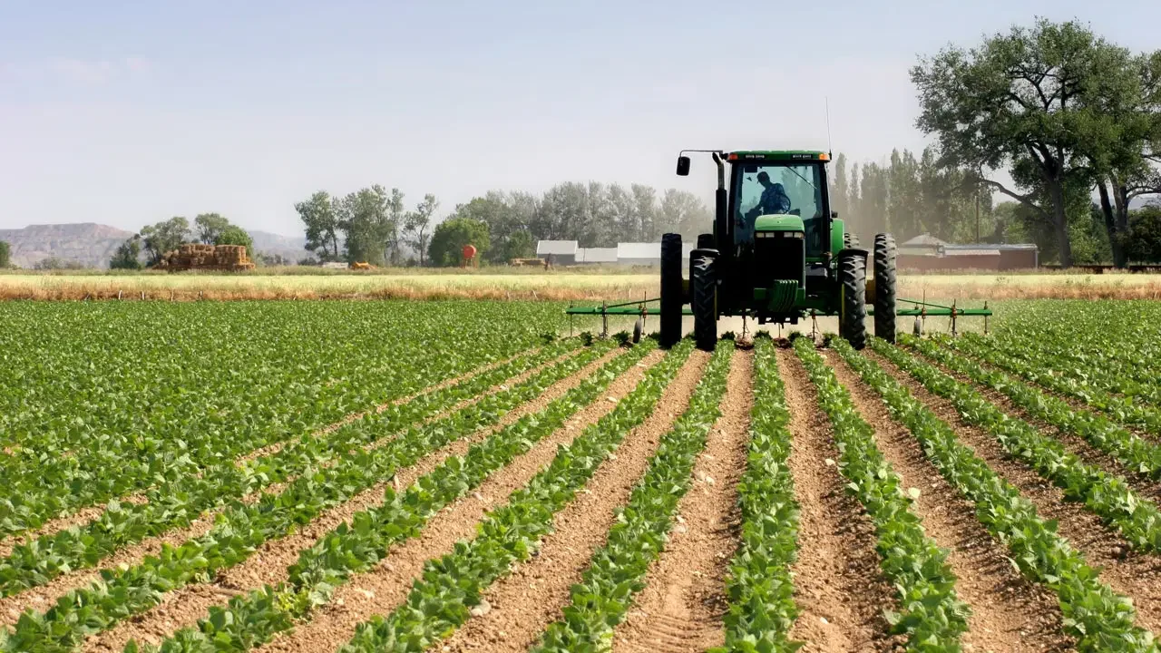 Nigeria’s Agriculture Sector Expands to ₦11.87 Trillion in Q1 2026