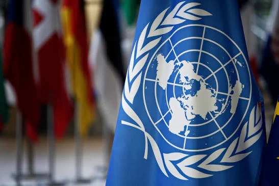 UN Warns Nigeria Faces Tougher Competition for Foreign Investment Amid Global Uncertainty