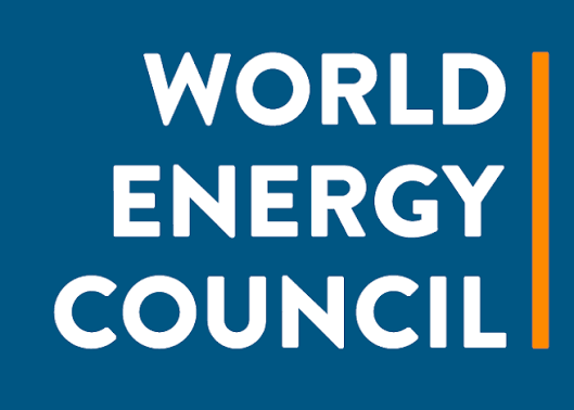 Nigeria Joins World Energy Council, Targets Investment and Global Energy Influence