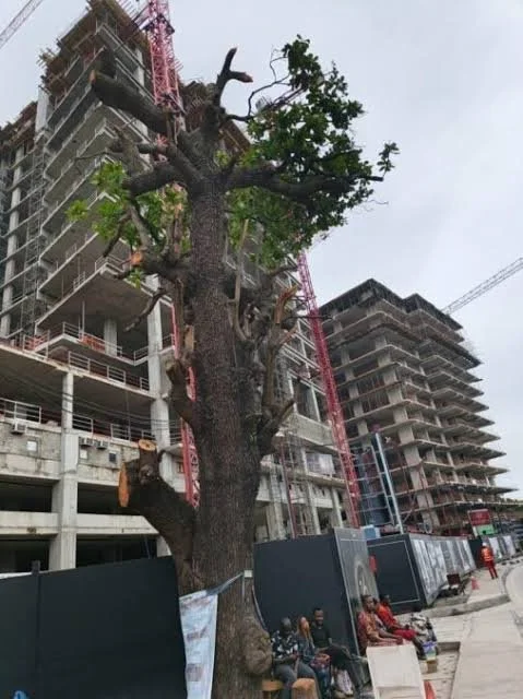 Inside 21-Storey Ikoyi Tower Betting on Luxury, Sustainable Living