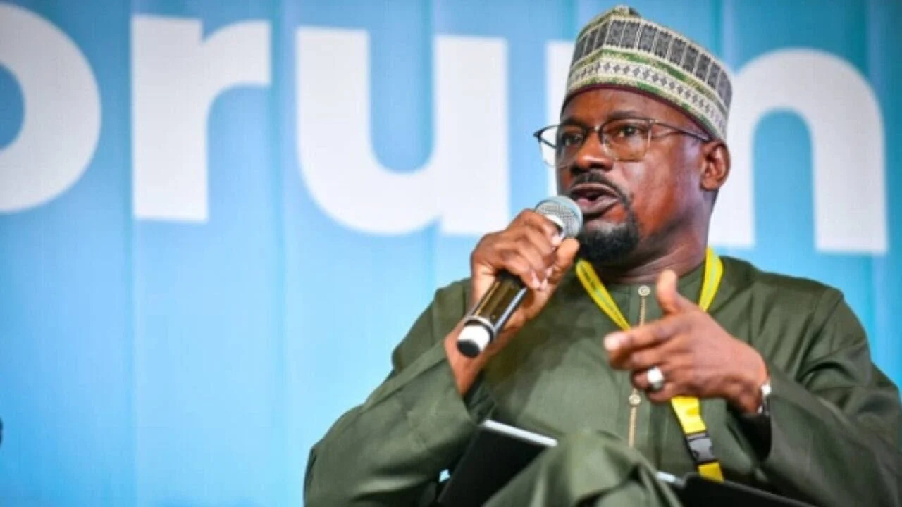 Nigeria Needs $23bn to Address Electricity Challenges, REA MD Says