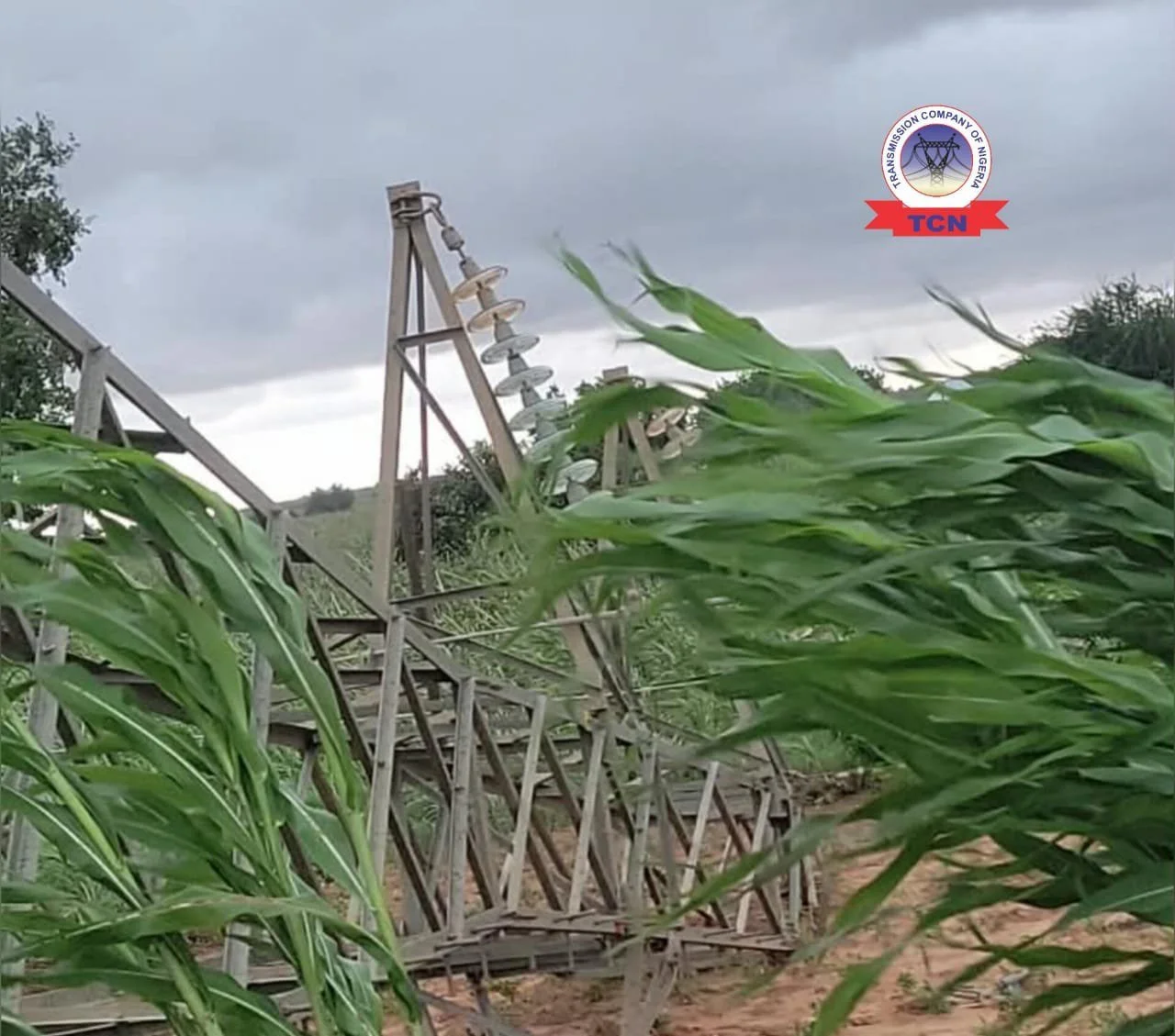 TCN Declares Force Majeure After Three Towers Collapse on Birnin Kebbi-Niamey Line