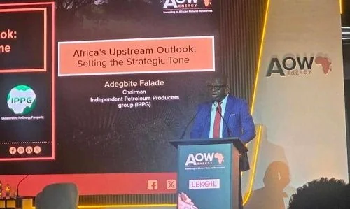 Africa Needs $200bn Annual Energy Investment by 2030, IPPG Warns