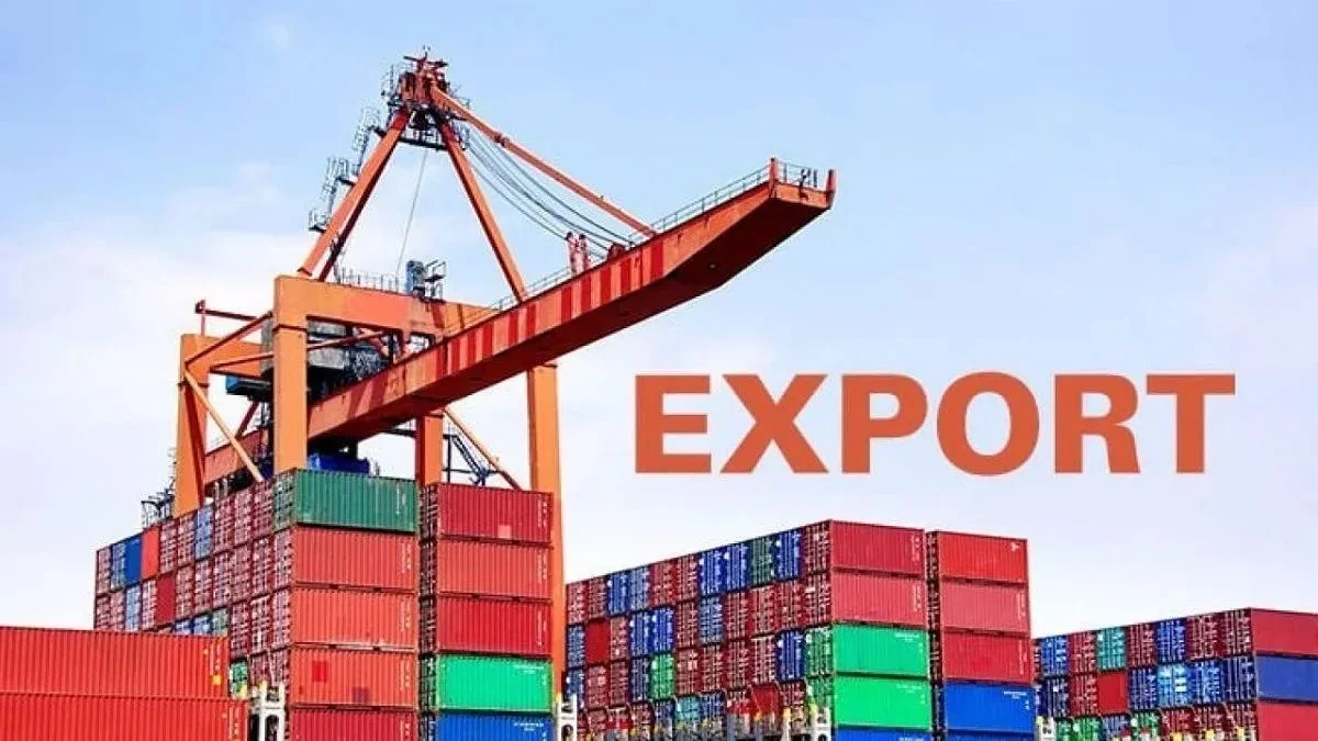 Nigeria Risks Losing $1bn in Annual Export Earnings Over EU Deforestation Rules