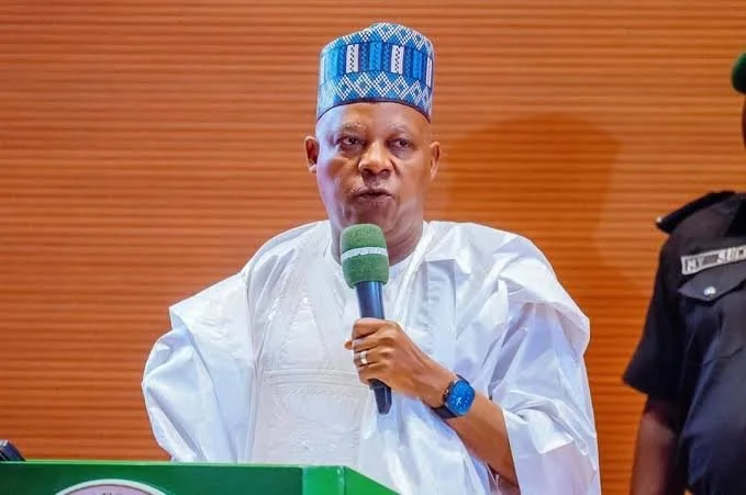 Shettima Tells States to Build Their Own Electricity Markets and Attract Investors