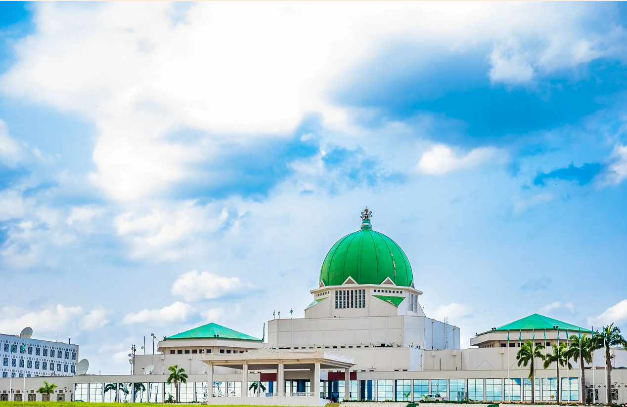 Understanding the Branches of Government in Nigeria: Legislative vs. Executive Roles