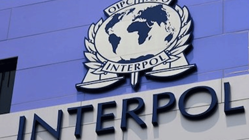 INTERPOL-GLOBAL-REPORT