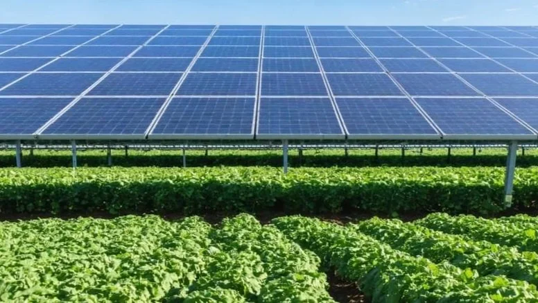 solar-powered-farming-project