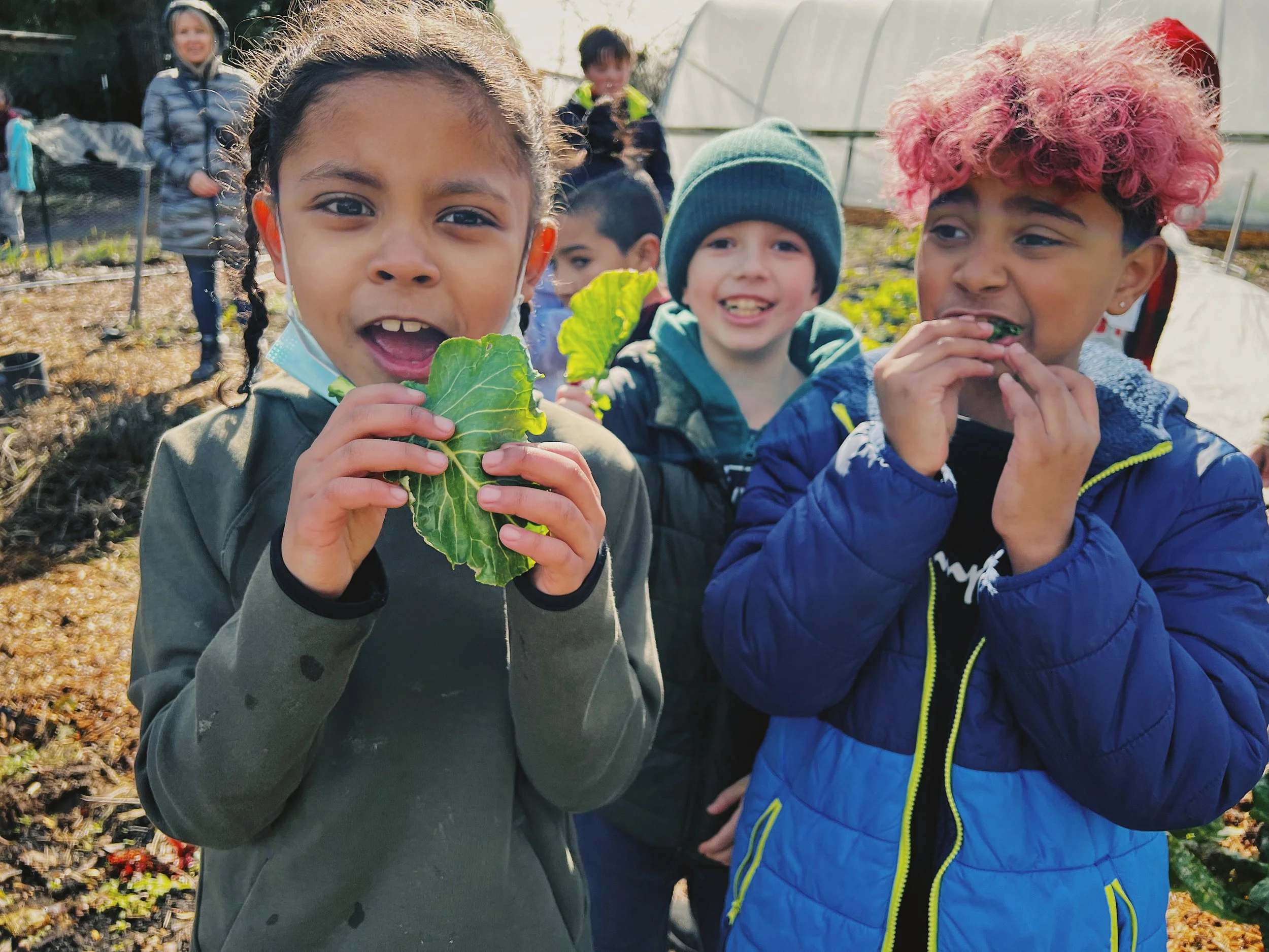 Happy children holding and eating leafy greens